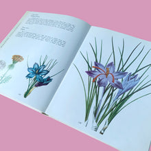 Load image into Gallery viewer, Open spread of Wild Flowers 1973 hardcover showing colour botanical engravings of Saffron Crocus and Damas Crocus — blue and purple blooms with long narrow leaves
