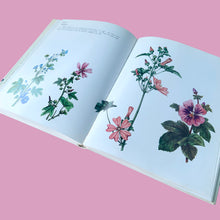 Load image into Gallery viewer, Open spread of Wild Flowers 1973 hardcover showing colour botanical engravings of Mallow species — blue, pink and mauve blooms with descriptive text
