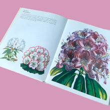 Load image into Gallery viewer, Open spread of Wild Flowers 1973 hardcover showing full-page colour botanical engraving of Rhododendron — white and deep burgundy-purple flower clusters with large green leaves
