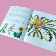 Load image into Gallery viewer, Open spread of Wild Flowers 1973 hardcover showing colour botanical engravings of Dandelion, Pennycress and large-format Thistle illustration — yellow and golden blooms with serrated leaves
