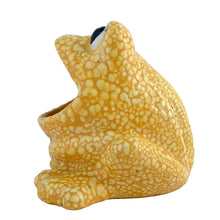 Load image into Gallery viewer, Right-side profile view of vintage yellow lava glaze ceramic frog sponge holder, showing the upward-tilted open mouth, one bulging black eye, and the overall textured lava glaze
