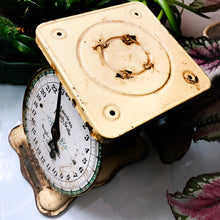 Load image into Gallery viewer, soft butter yellow  American Family Scale fits perfectly into antique, vintage, industrial or farmhouse decor. Scalloped base and decorative needle are wonderful complements to the white dial details in black and green. The scale is in used vintage condition. Dial is no longer centred on zero. The scale measures 8 1/2” wide by 6 3/8” deep by 8 1/2” tall; tray is 5 3/4” square.
