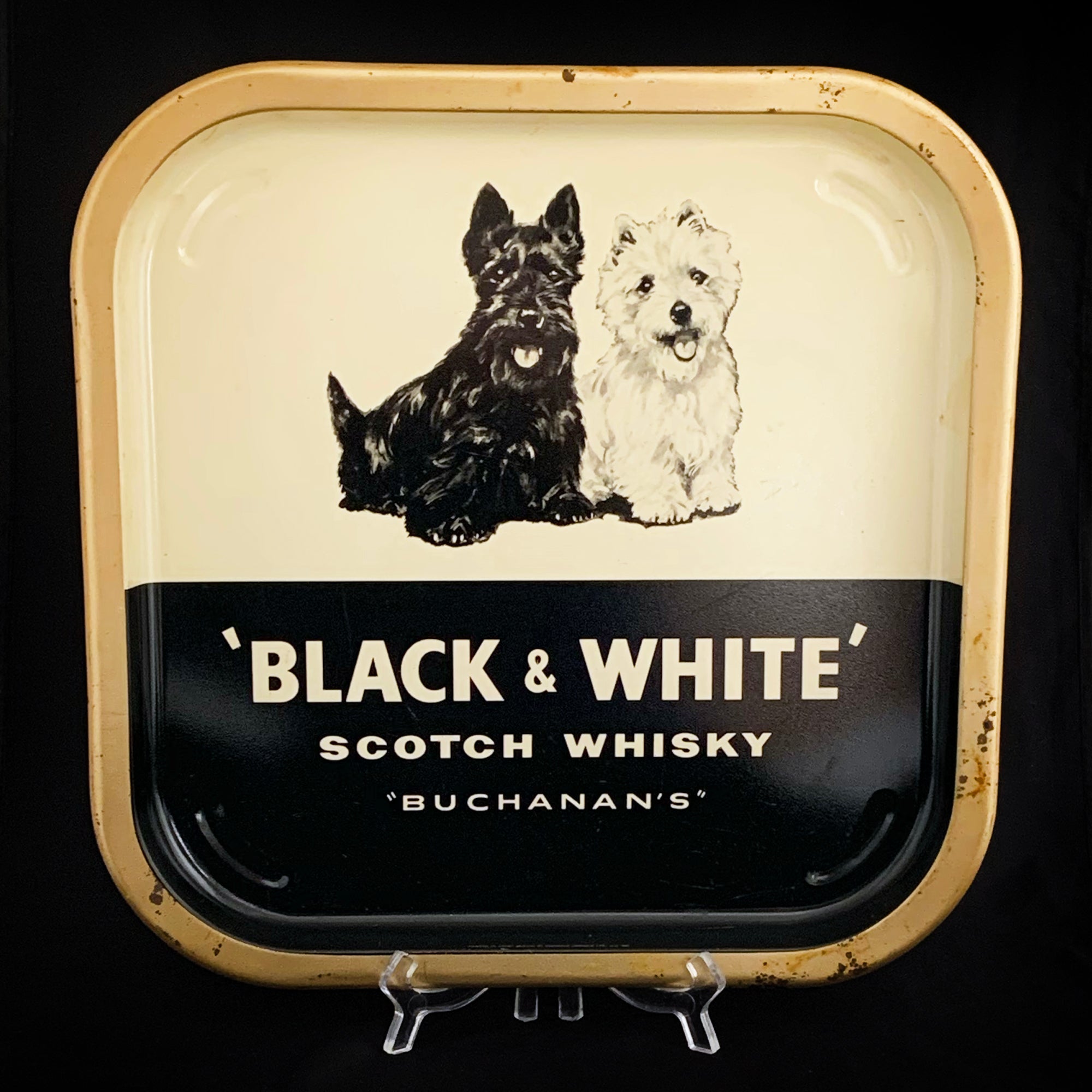 Black and white hot sale whiskey dog breed