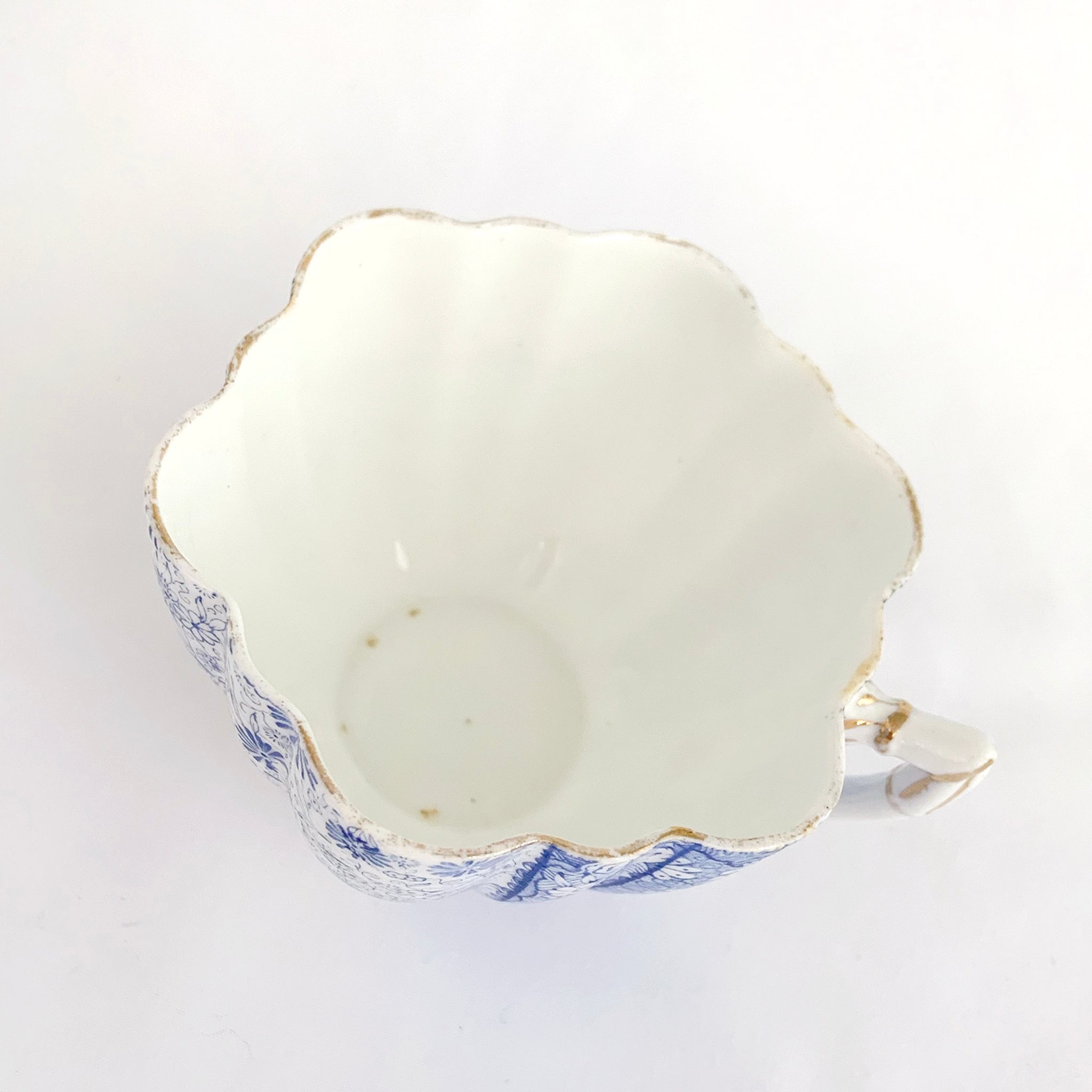 Antique Blue Daisy Bone China Teacup Saucer Wileman Foley Shelley 