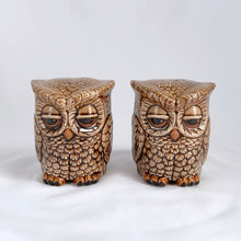 Load image into Gallery viewer, Vintage Large Hand Painted Ceramic Owl Salt &amp; Pepper Shaker Set, Sleepy Hollow USA 1980s
