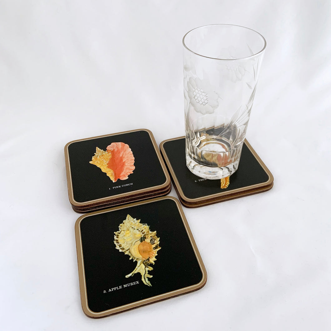 A vintage set of six square round edged coasters, each decorated with an illustration of a tropical seashell on a black background, bordered in gold with cork-backing. Coasters make the perfect resting place for drinking glasses or mugs to protect your furniture from being marked. Made by Pimpernel in England. Makes a great housewarming or hostess gift!  In excellent vintage condition.  Each coaster measures 4-1/8