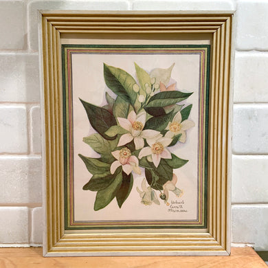 Vintage print of orange blossom flowers. The colours are fabulous and vibrant! Framed in wood.  Measures approximately 6 x 8 inches Jacks Daughter of All Trades Vintage Antique Retro Mid-Century Modern Kitsch Store Shop Reseller Etsy Shopify Toronto Canada Free Porch Pick Up Local Delivery Worldwide Shipping Judy Weinberg